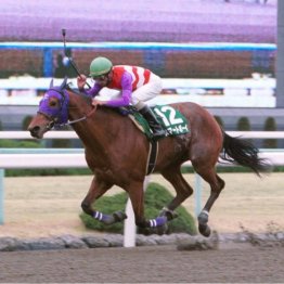 〈104〉元は競馬オタク！？　今はとある一口クラブで働く梶原もじゃさん（４）