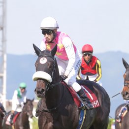 【神戸新聞杯】ジューンテイク重賞２勝目だ