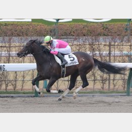 【田中の土曜競馬コラム・中京12Ｒ】｜田中翔大 必翔馬券