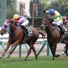 【新谷の土曜競馬コラム・賢島特別】