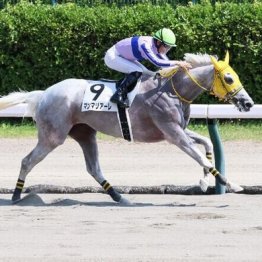 【飯島の土曜競馬コラム・中山12Ｒ】