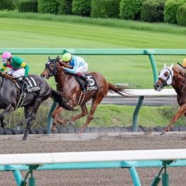 【大谷の土曜競馬コラム・ながつきＳ】