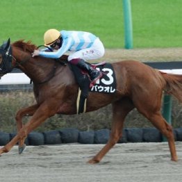 【武田の土曜競馬コラム・ながつきＳ】