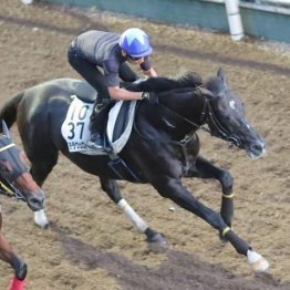 【新居の日曜競馬コラム・オールカマー】