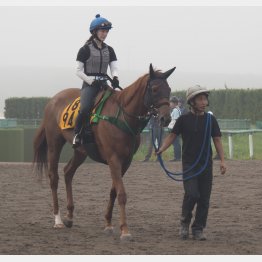 【木津の日曜競馬コラム・中山10Ｒ】｜ホースマン直撃