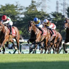 【武田の日曜競馬コラム・オールカマー】