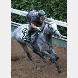 【橘の日曜競馬コラム・オールカマー】｜鬼才・橘 万券アタック