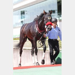 【レスキュー隊の日曜競馬コラム・中京12Ｒ】｜最終レスキュー 最後にアナタを助…