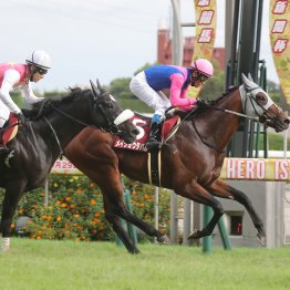 【神戸新聞杯】勝ち馬メイショウタバル、②③着ジューンテイクにショウナンラプンタとも本番への収穫あり