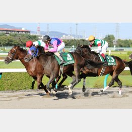 17年は11番人気の６歳馬メイショウスミトモがＶ