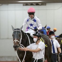 【市川の土曜競馬コラム・シリウスＳ】