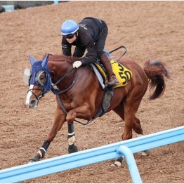 重賞初制覇へ万全