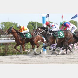 ２走前の平安Ｓは首差の②着