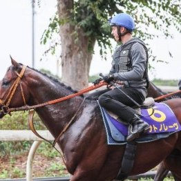 【新居の日曜競馬コラム・スプリンターズＳ】