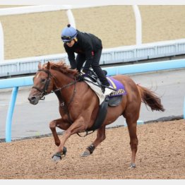 今週も主戦・松岡を背に軽快な動き