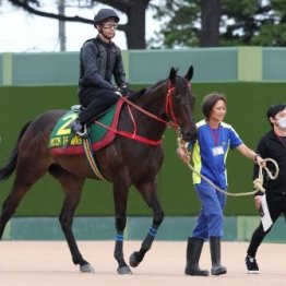 【大谷の日曜競馬コラム・スプリンターズＳ】