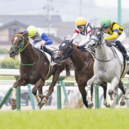 【東京本紙・外山の日曜中山10Ｒ】