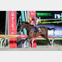 【ジャパンダートクラシック】ラムジェット２冠達成｜本紙・武田の見解