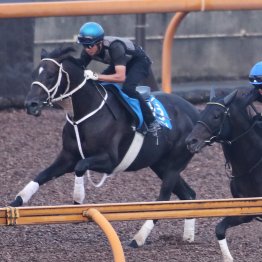 【京都大賞典】ディープボンド俊敏な動きで１Ｆ１１秒２