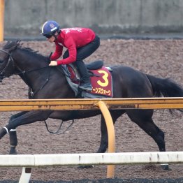 【秋華賞１週前】クイーンズウォーク躍動感十分