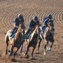 ダノンエアズロック（内）は３頭併せのハードメニューを消化