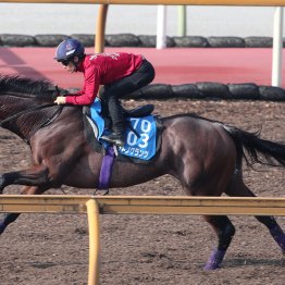 【京都大賞典】サトノグランツ春に勝ち切れなかった鬱憤晴らしはここで