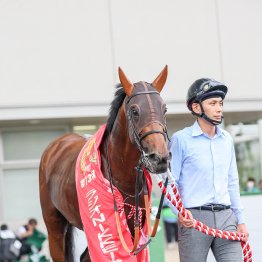 【毎日王冠】強烈な末脚で古馬も倒す　オフトレイル重賞連勝だ