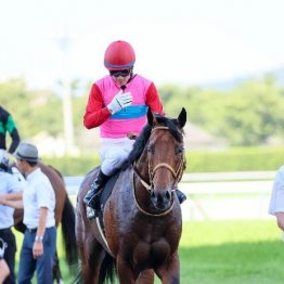 【市川の土曜競馬コラム・オパールＳ】