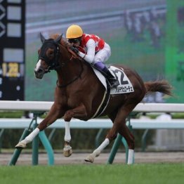 【木津の土曜競馬コラム・サウジアラビアロイヤルＣ】