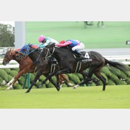 【橘の土曜競馬コラム・オパールＳ】｜鬼才・橘 万券アタック