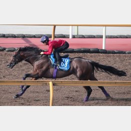 3週連続で川田を背に追い切り