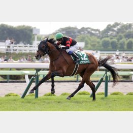 【新谷の日曜競馬コラム・毎日王冠】｜新谷式レースレート 数字が走る