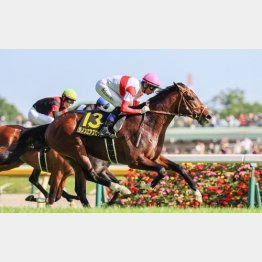 【市川の日曜競馬コラム・毎日王冠】｜市川が人気馬を斬る