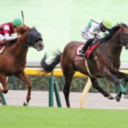 【武田の日曜競馬コラム・毎日王冠】