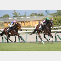 【橘の日曜競馬コラム・京都大賞典】｜鬼才・橘 万券アタック