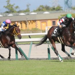 【橘の日曜競馬コラム・京都大賞典】