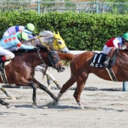 【レスキュー隊の日曜競馬コラム・東京12Ｒ】