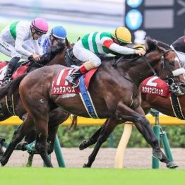 【毎日王冠】３歳馬シックスペンスが古馬を撃破