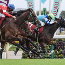 【府中牝馬Ｓ】ラッキーカラーは〝青〟