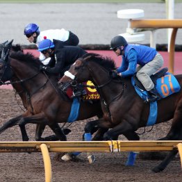 【秋華賞】調教マル得チェック①