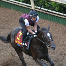 【秋華賞】ローズＳ馬クイーンズウォーク今回もここ2戦と同じ調整方法