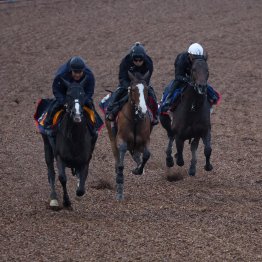 【秋華賞】オークス馬チェルヴィニア輸送を控えていると思えないほどハードな木村流を貫く