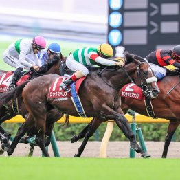 毎日王冠のシックスペンスが早くも重賞４勝目 今年の３歳世代は相当に強いか