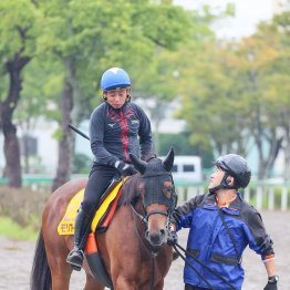 【府中牝馬Ｓ】岩田康との新コンビも息ピッタリ 重賞２勝目狙うモリアーナ