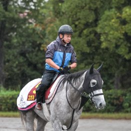 【秋華賞】クイーンＳで古馬撃破 コガネノソラ人気馬に待った