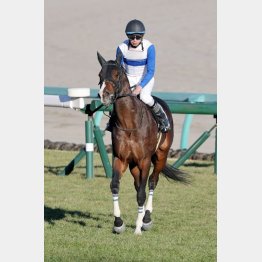 【市川の土曜競馬コラム・大阪スポーツ杯】｜市川が人気馬を斬る