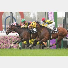 【飯島の土曜競馬コラム・大原Ｓ】｜飯島の１日１鞍