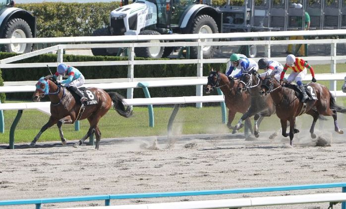 【外山の土曜競馬コラム・大阪スポーツ杯】｜東京本紙・外山 攻め一直線