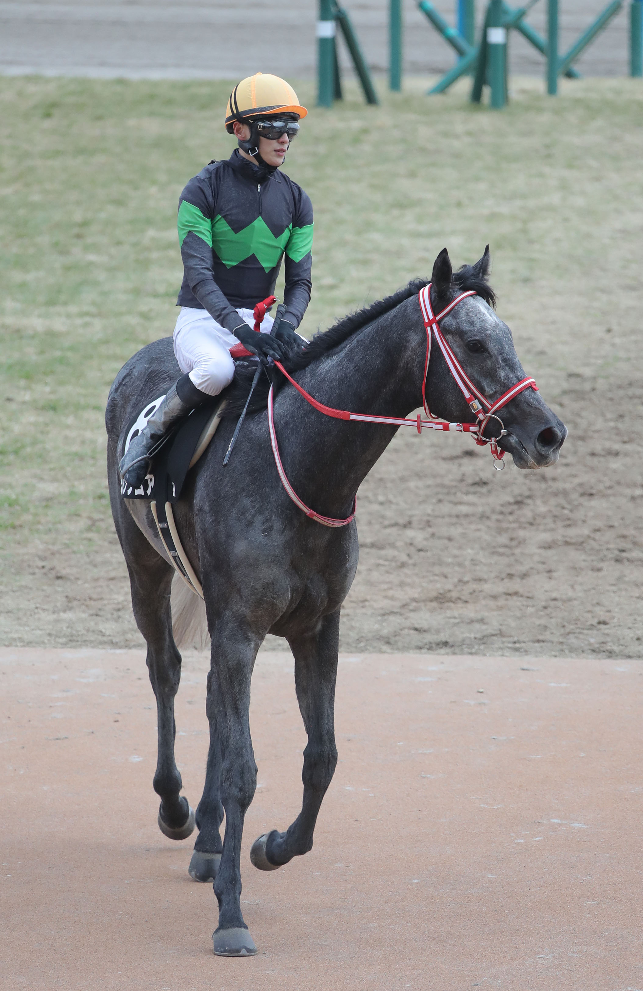 【播磨の土曜競馬コラム・大阪スポーツ杯】｜播磨政勝 競馬道楽