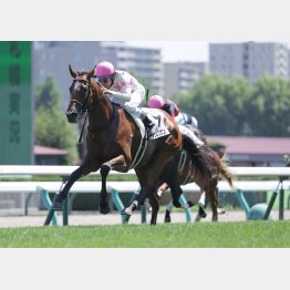 新馬戦はロングスパートで４馬身差V